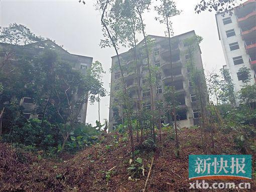 ■澳洲山庄多栋建筑外立面已经发黑。