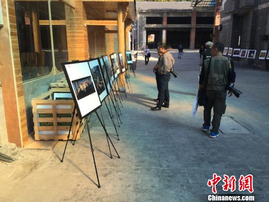 2015中国丽水摄影节举行　李婷婷　摄