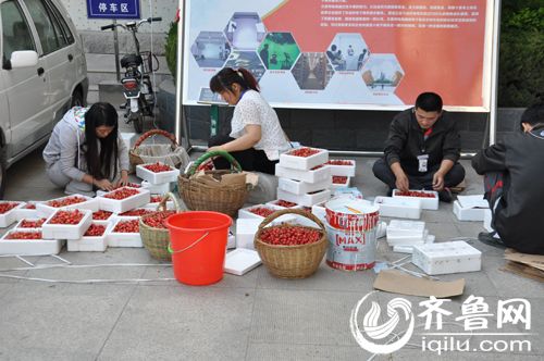 樱桃销售火爆（资料图）