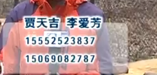 需要購(gòu)買(mǎi)的可以聯(lián)系他們，幫他們籌集一點(diǎn)治療費(fèi)用。