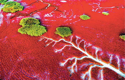 嫣青相映红海滩(美丽中国·寻找最美湿地)|海滩