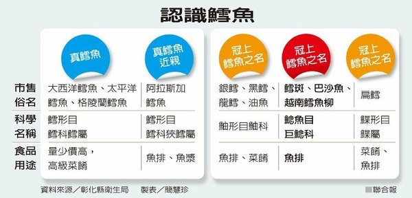 认识鳕鱼 图／联合报