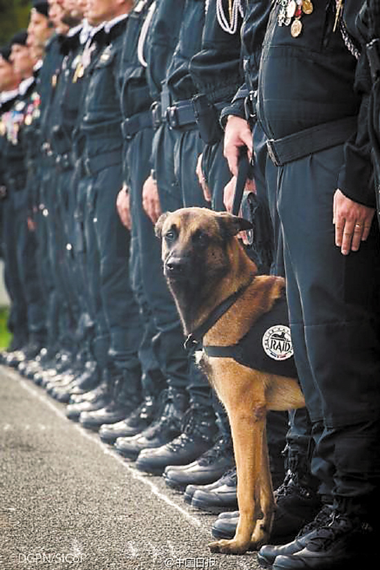 法国警方突袭巴黎恐袭嫌犯|警方|公寓楼