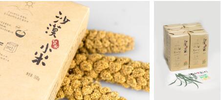 任小米上天猫啦|灌溉水|节水