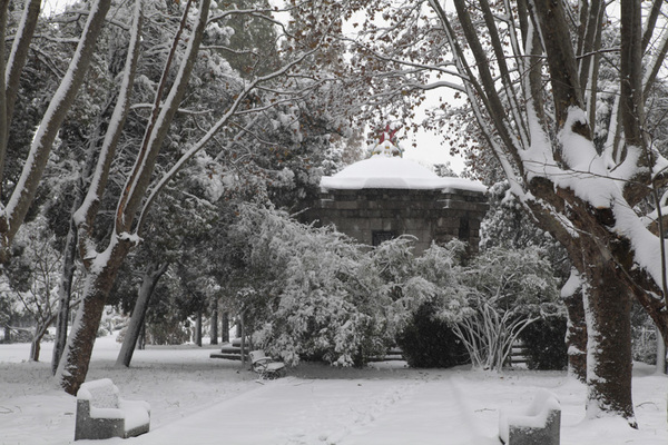 华东革命烈士陵园烈士墓。