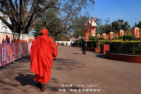 菩提伽耶：释迦摩尼成佛地（印度连载43）