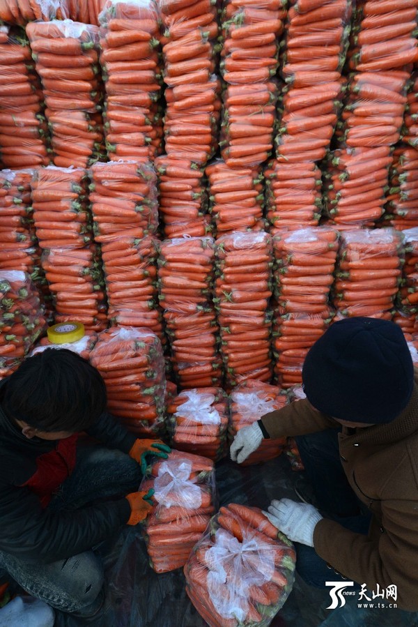 11月28日，库尔勒一处农畜产品批发市场，批发商在批发蔬菜。