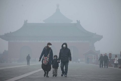 新京报记者 王嘉宁 摄