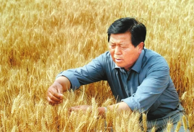 西农教授王辉入选11月中国好人榜