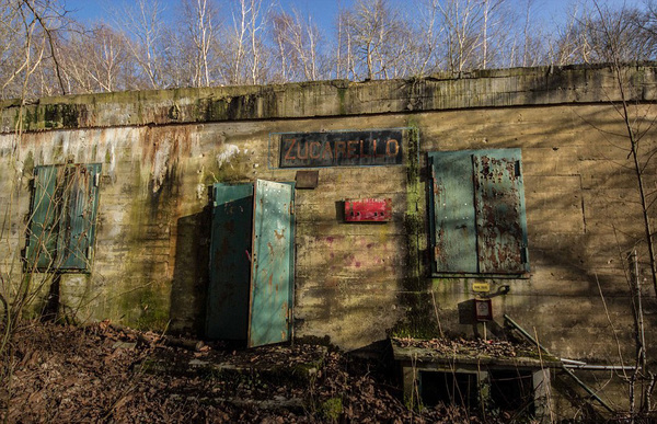 近日,摄影师无意中在一片密林里发现希特勒当年计划入侵英国时候用过的地堡 ,因为是法国外籍军团的秘密训练地点,所以一直未公开。(网页截图)
