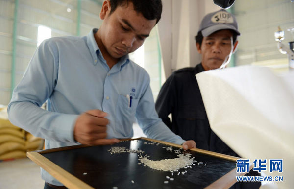 12月10日，在老挝沙湾拿吉省，工作人员在抽查大米质量。新华社发（刘艾伦摄）