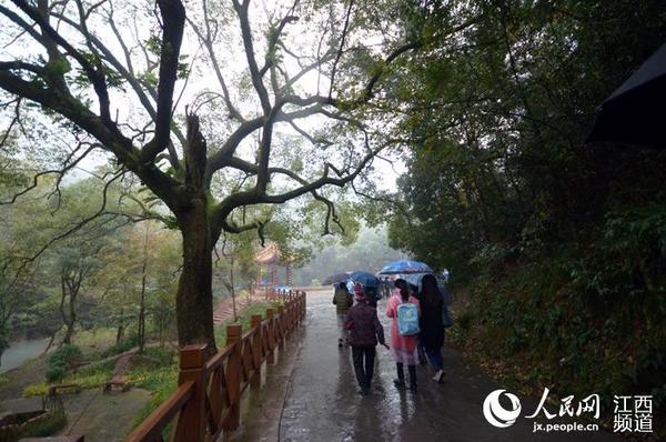 雨雾蒙蒙中，青原山云雾缭绕，让外媒记者流连忘返。