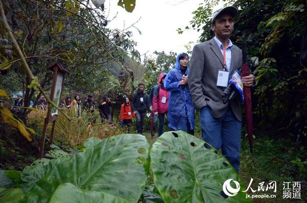 采访团13日来到江西崇义县君子谷野生水果世界。