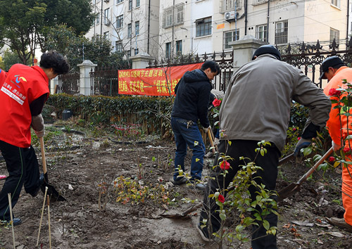 小区绿地开始变种菜为种花