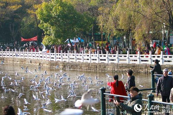 22日，昆明阳光明媚，市民和游客在翠湖公园给红嘴鸥喂食。（人民网 李发兴 摄）