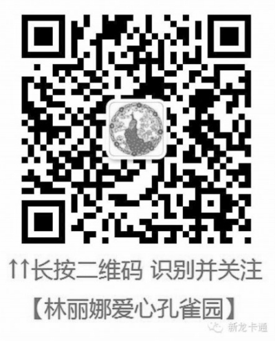 想了解或帮助林丽娜可扫一扫二维码