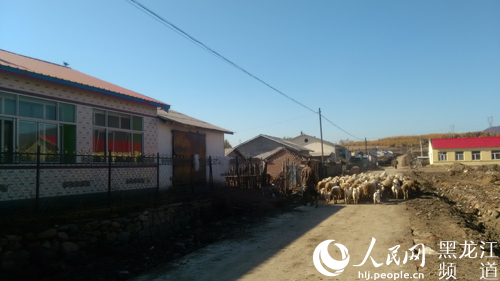 延寿县青川乡新民村村貌。