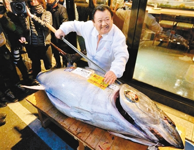 　　今年1月5日，一条重达180.4公斤的蓝鳍金枪鱼在东京拍出了451万日元（约合人民币23.27万元）的高价。资料图片