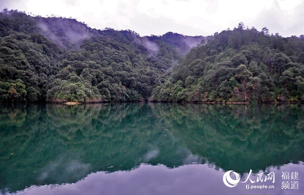 地处安砂水库的龙头湿地公园水草丰茂，林木繁盛。 吴隆重 摄