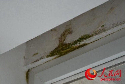 受楼上分租房影响,黄女士家的卧室墙体已经发霉。李挺摄