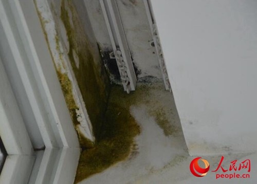 黄女士卧室里发霉的墙体。李挺摄