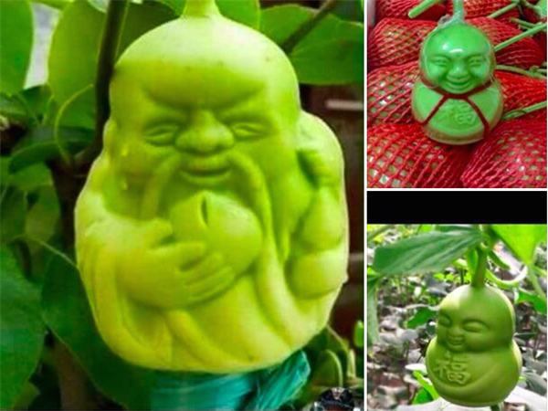 图为“寿星”样和“娃娃”样的“造型水果”。