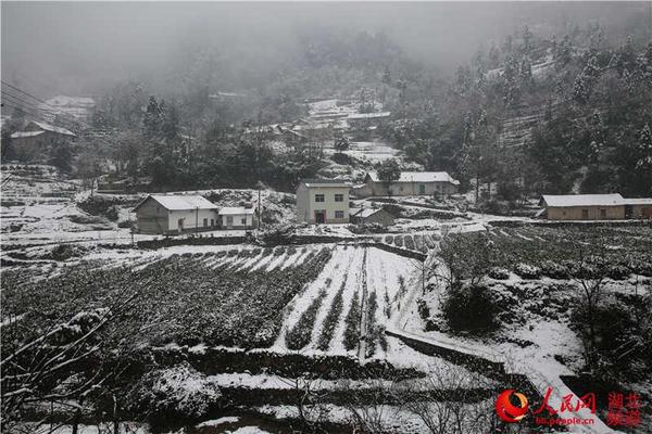 三峡库区秭归普降大雪 乡村美如画|气象|降雪