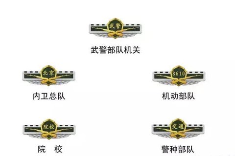 武警部队更换新式标志服饰|军事|武装