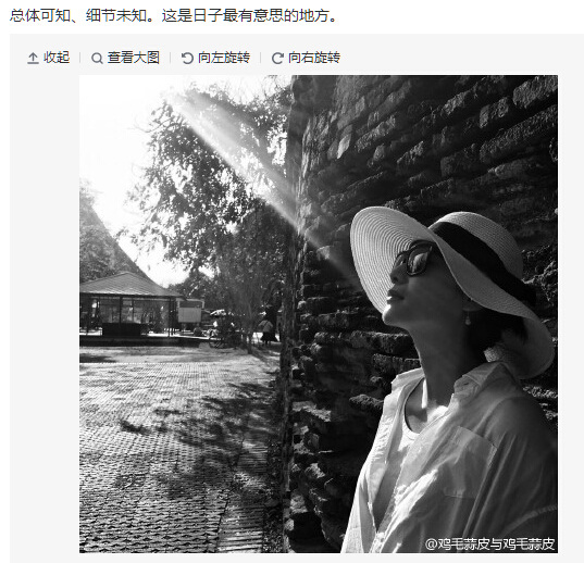 徐静蕾微博截图