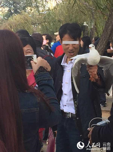 2015年11月30日，一名游客在昆明翠湖公园抓鸥拍照 供图