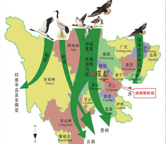 成都新机场与四川候鸟迁徙通道关系示意图.