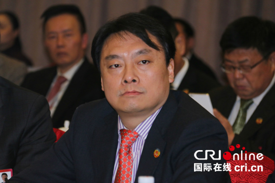 受邀海外列席人员、俄罗斯华侨吴昊在联组会上 摄影:黎萌