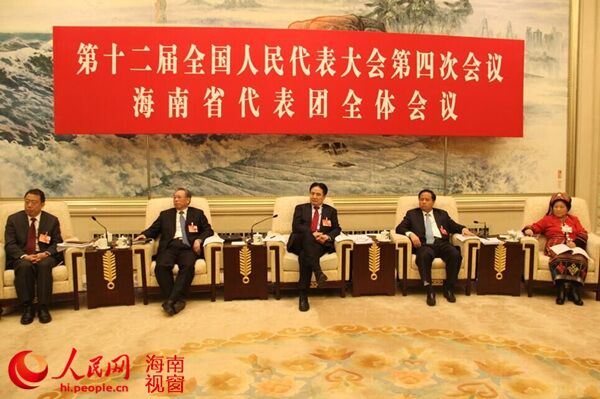 海南代表团举行开放团组活动