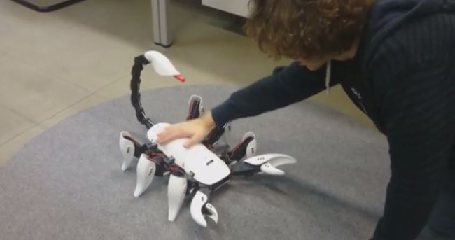 	
大学生做蝎子机器人 可感应攻击物体





