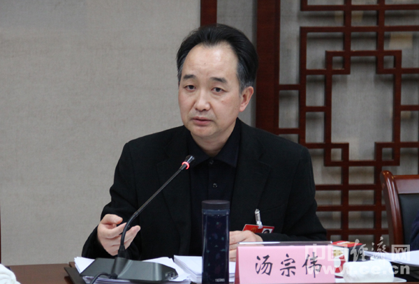 全国人大代表,重庆市两江新区管委会常务副主任汤宗伟 中国经济网记者
