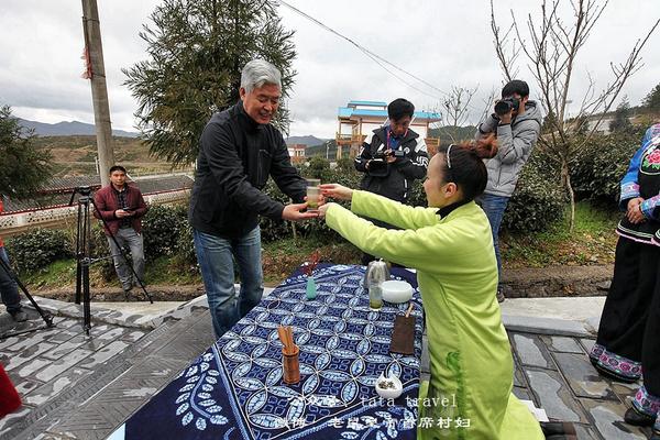 海葩苗的最美茶仙子：颜好心灵美