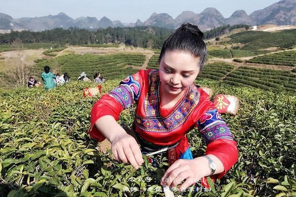 海葩苗的最美茶仙子：颜好心灵美