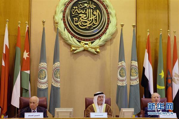 阿拉伯国家联盟任命盖特为新秘书长(高清组图