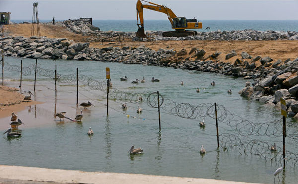 一群水鸟在被叫停的港口城项目现场边上戏水。新华社记者 黄海敏 摄