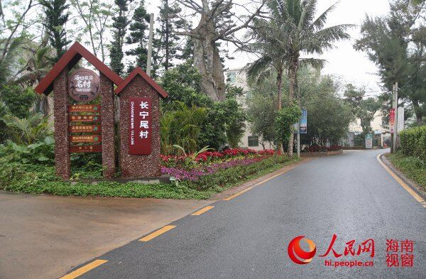 红树林保护区周边的村落绿道