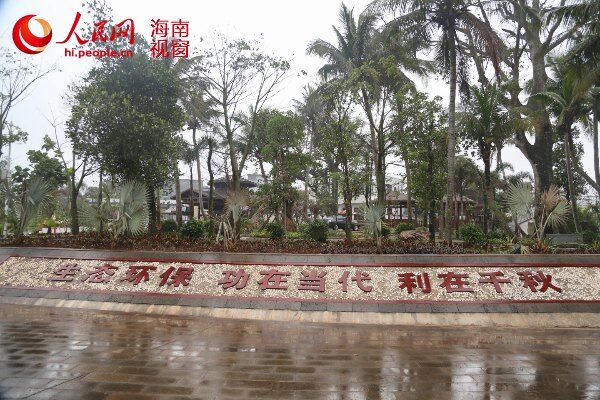 红树林生态保护区