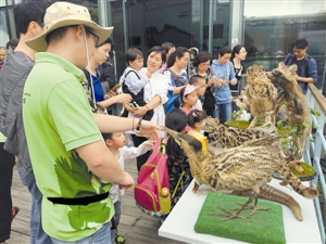 自然学校开讲鸟类保护|野生动植物保护|生态