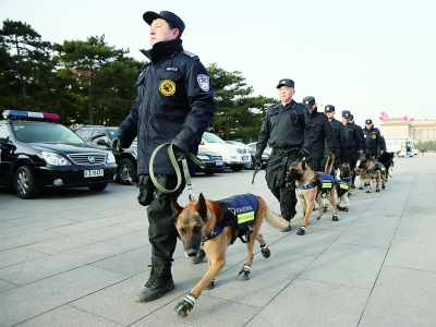 身着防弹防刺衣|警犬|训导员_凤凰资讯