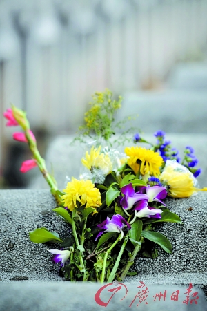 　　▲银河公墓，菊花寄哀思。（资料图片）