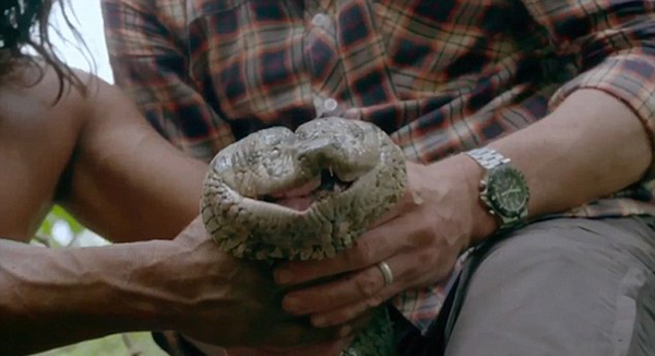 捕猎水蟒并且放生展现了瓦欧族人的英勇。(网页截图)