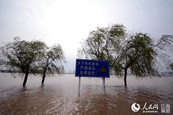 受上游来水影响,赣江南昌段水位猛涨,水文部门预计,洪峰将在明日中午左右抵达南昌。