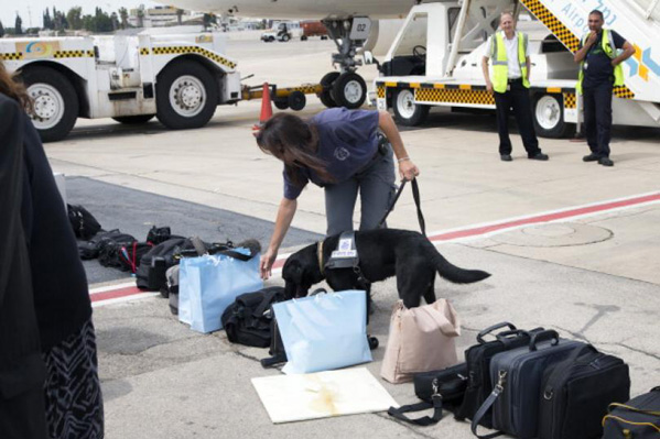 2013年5月18日,在以色列的特拉维夫本古里安机场,一名警察带着警犬正在检查德国旅客的行李(网页截图)