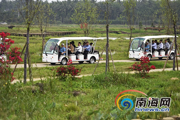 　　参会人员乘车游览龙寿洋农业公园。南海网见习记者 刘洋摄