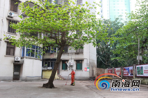 以党员之家作引擎 海口市龙华区国贸大院美丽