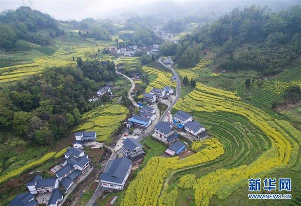 　　 俯瞰芦山县黎明村一角（4月1日摄）。新华社记者 江宏景摄